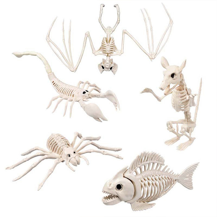 Skelett Tiere 5-fach sortiert | Beige - Halloween