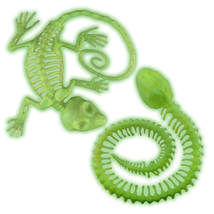 Leuchtendes Tier Skelett nach Wahl - Glow in the Dark | Grün