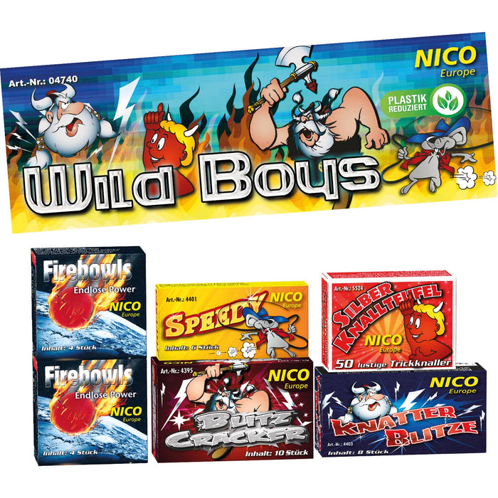 Jugend Feuerwerk "Wild Boys! | 6 Schachteln im Set