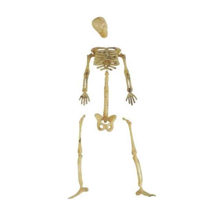 20 Mini Skelettteile +/- 9 cm | Knochenweiß - Halloween Dekoration