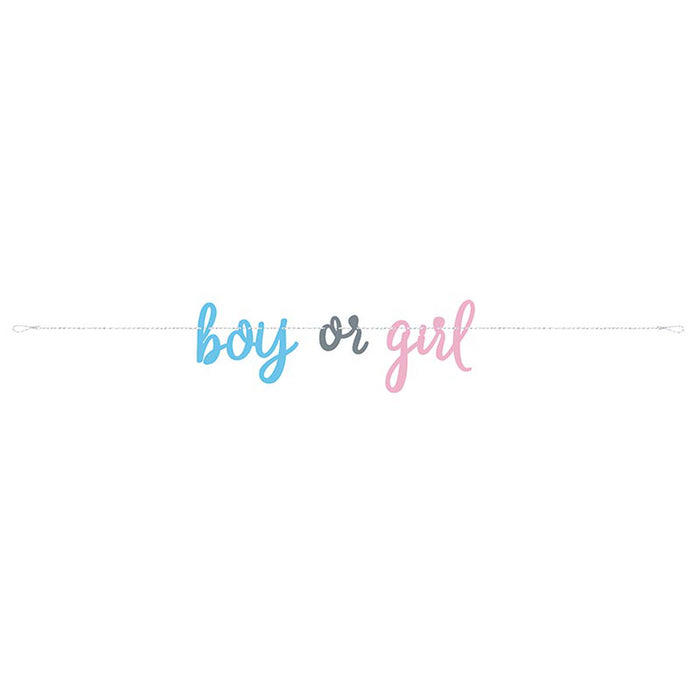 Banner Gender Reveal Boy or Girl ca.213cm