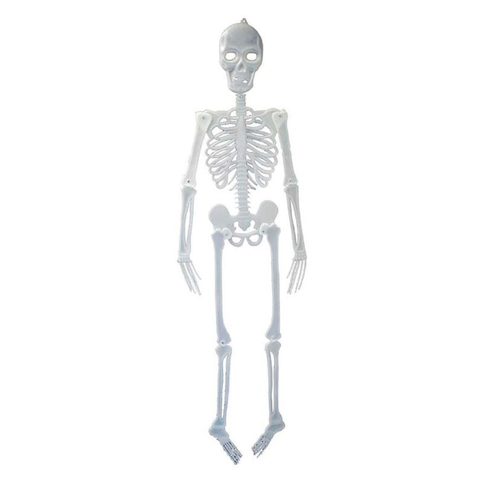 Skelett 150 cm | Halloween-Deko