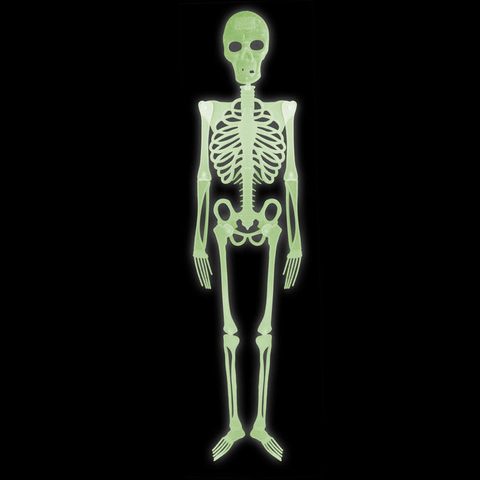 Skelett 150 cm | Halloween-Deko