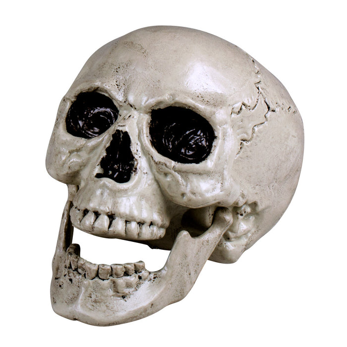 Totenkopf Schädel "Maxilla" beweglich - 17 x 17 x 24 cm | Halloween Dekoration