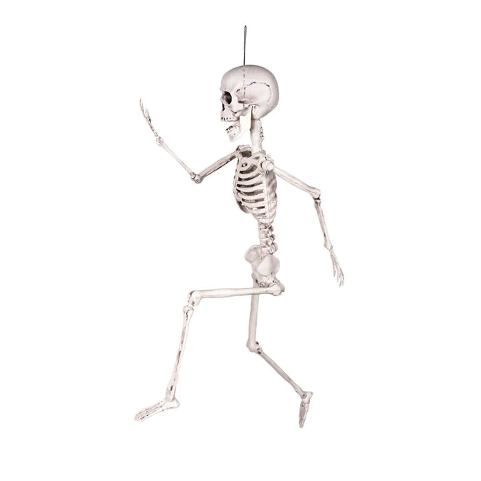 Halloween Deko Bewegliches Skelett | 60 cm
