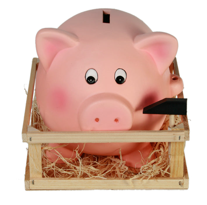 Spardose Jumbo-Schwein mit Hammer