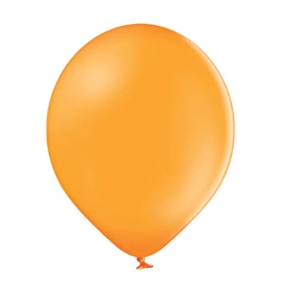Befüllter Luftballon zur Filialabholung - Pastell