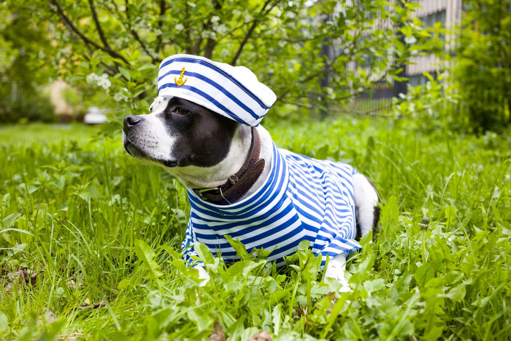 Matrosen Sailor Mütze mit Anker - 414000 | Weiß Blau