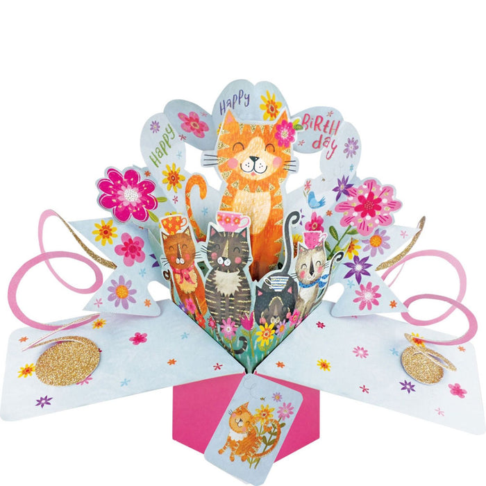 Grußkarte PopUp "Happy Birthday Katzen"